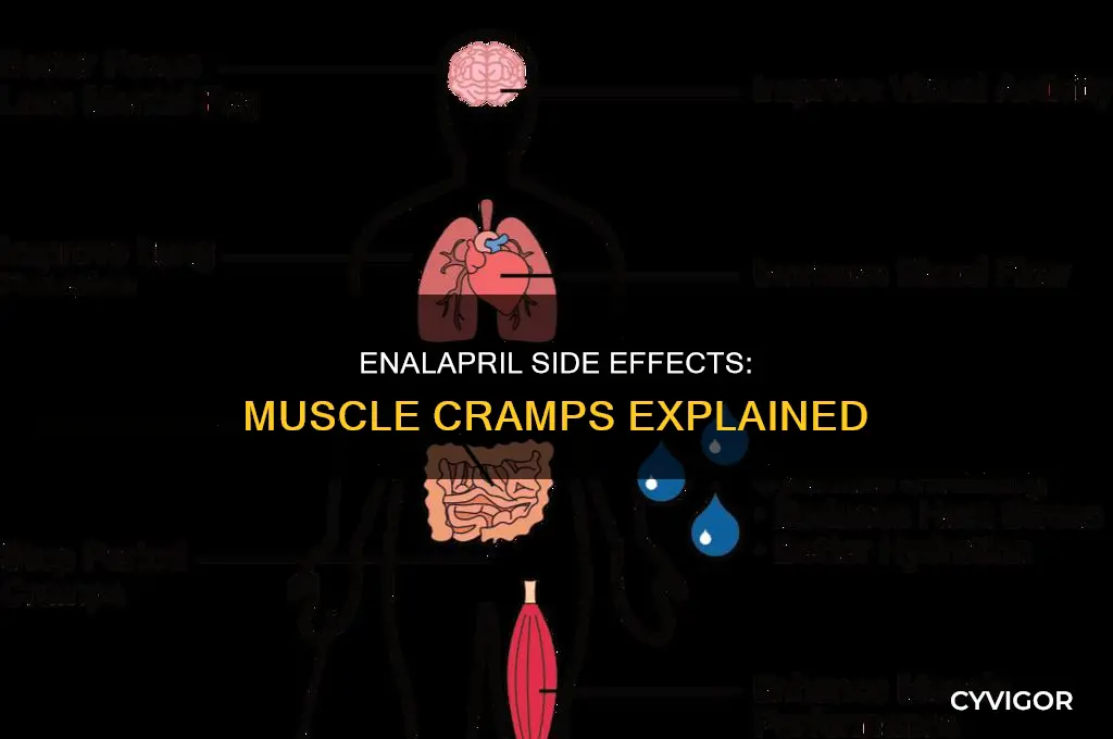 does enalapril cause muscle cramps