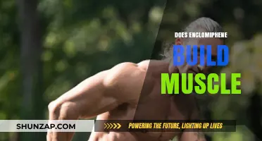 Unlocking Muscle Growth: The Truth About Enclomiphene's Role