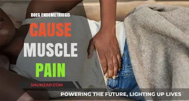Endometriosis and Muscle Pain: What's the Connection?