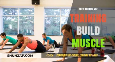 Endurance Training and Muscle Growth: Debunking Common Myths