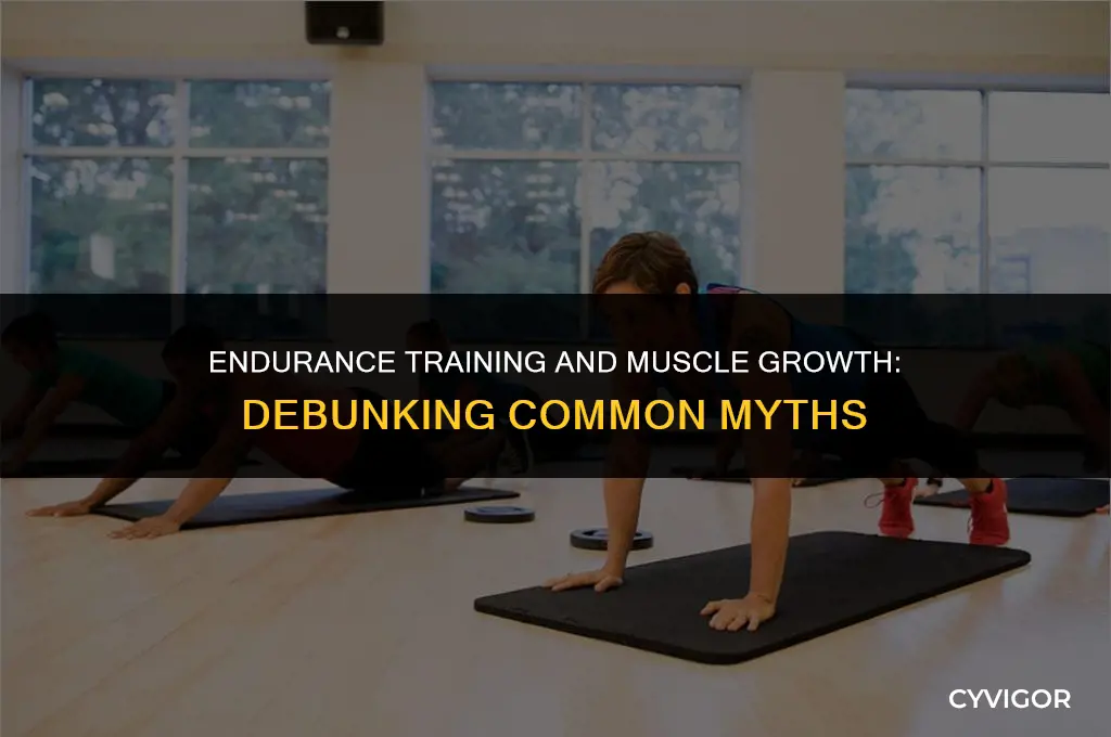 does endurance training build muscle