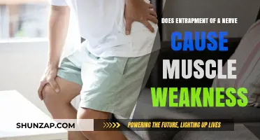 Nerve Entrapment: Understanding the Cause of Muscle Weakness