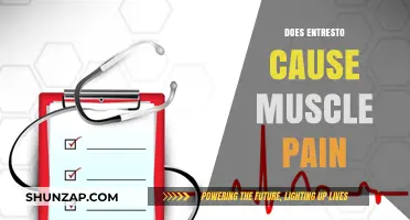 Entresto and Muscle Pain: What's the Link?