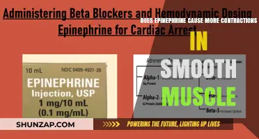 How Epinephrine Affects Smooth Muscle Contractions