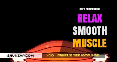 Epinephrine's Impact: Does It Relax Smooth Muscle?