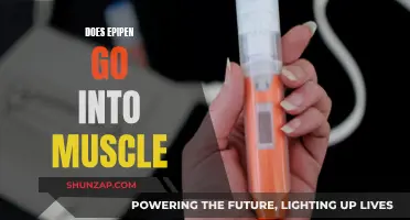 Epipen Intramuscular Use: What You Need to Know