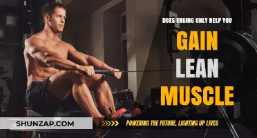 Erging for Lean Muscle: Fact or Fiction? Unveiling the Truth