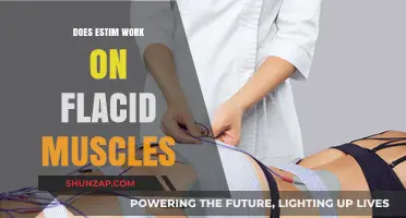 Does Electrical Stimulation Work on Flaccid Muscles? Exploring the Facts
