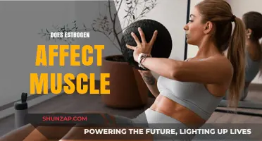 Exploring Estrogen's Impact on Muscle Health and Fitness