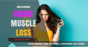 Estrogen's Impact: Muscle Loss and Gain