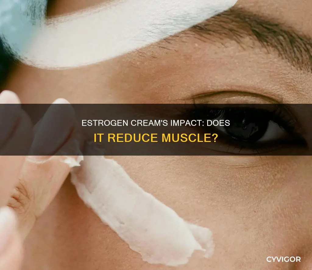 does estrogen cream reduce muscle