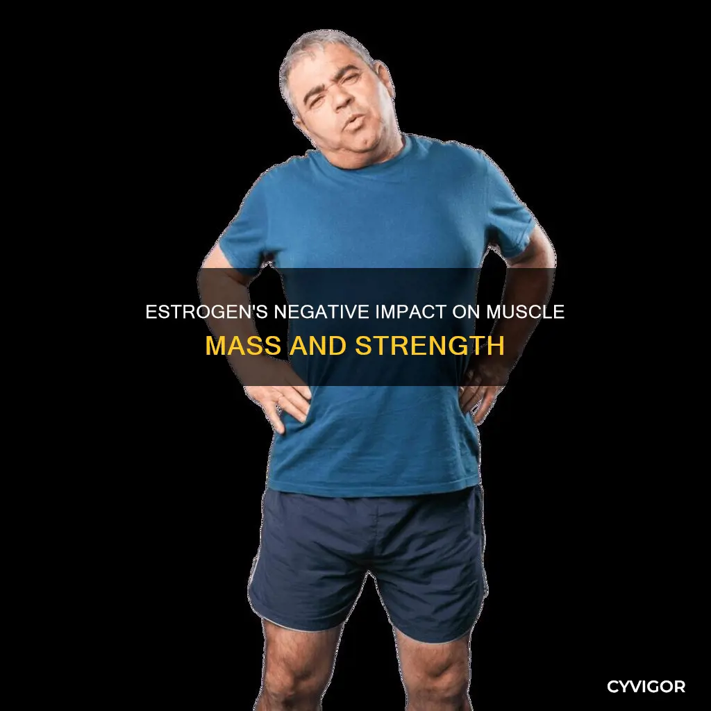 does estrogen lower your muscles