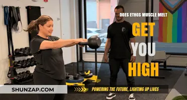 Exploring the Effects of Ethos Muscle Melt: A Comprehensive Guide