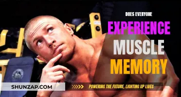 Muscle Memory: Is It Universal or Unique to Individuals?