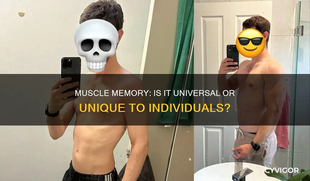 does everyone experience muscle memory