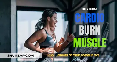 Cardio and Muscle Loss: Is There a Link?