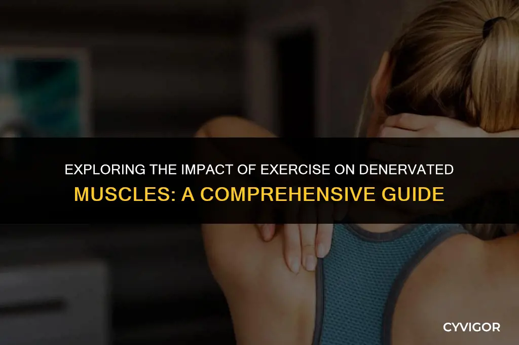 does exercies affect a denervated muscle