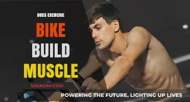 Pedal Power: Can an Exercise Bike Really Build Muscle?