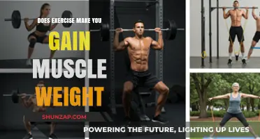 Exercise and Muscle Gain: Unraveling the Weight Connection