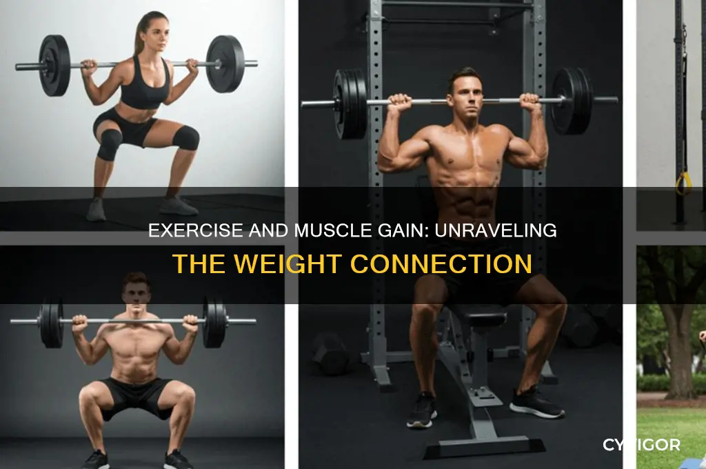 does exercise make you gain muscle weight