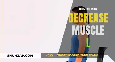 Extension Exercises: Reducing Muscle Loss, Gaining Strength