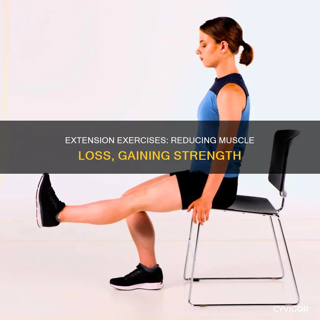 does extension decrease muscle l