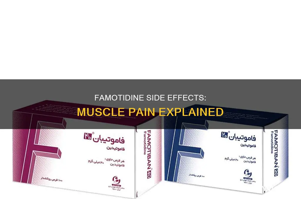 does famotidine cause muscle pain