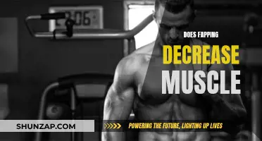 Masturbation's Impact on Muscle Gain: What's the Truth?