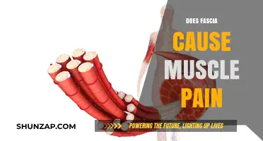 Fascia and Muscle Pain: What's the Connection?