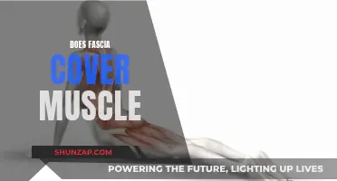 The Fascia's Muscle Covering: What, Why, and How?