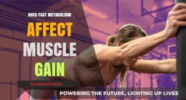 Fast Metabolism and Muscle Gain: Unlocking the Connection for Optimal Results