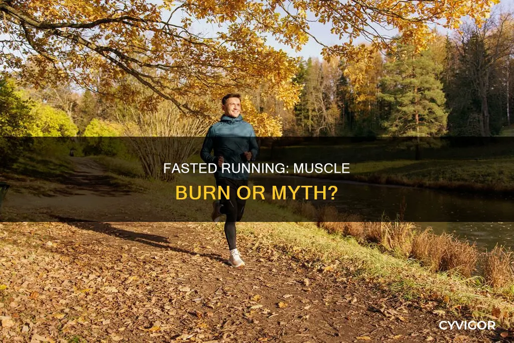 does fasted running burn muscle