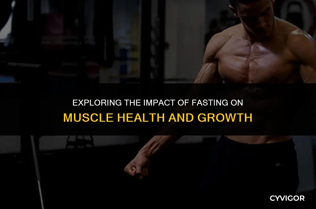 does fasting affect muscle