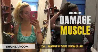Fasting and Muscle: Friend or Foe?