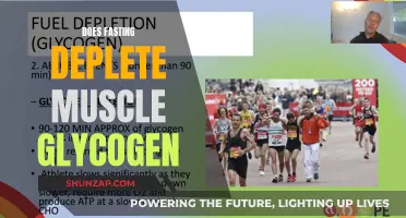 Fasting's Impact: Muscle Glycogen Depletion and Recovery