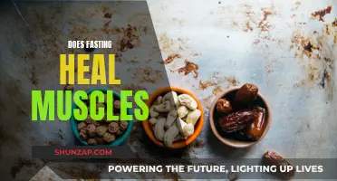 Fasting for Muscle Health: Does It Work?