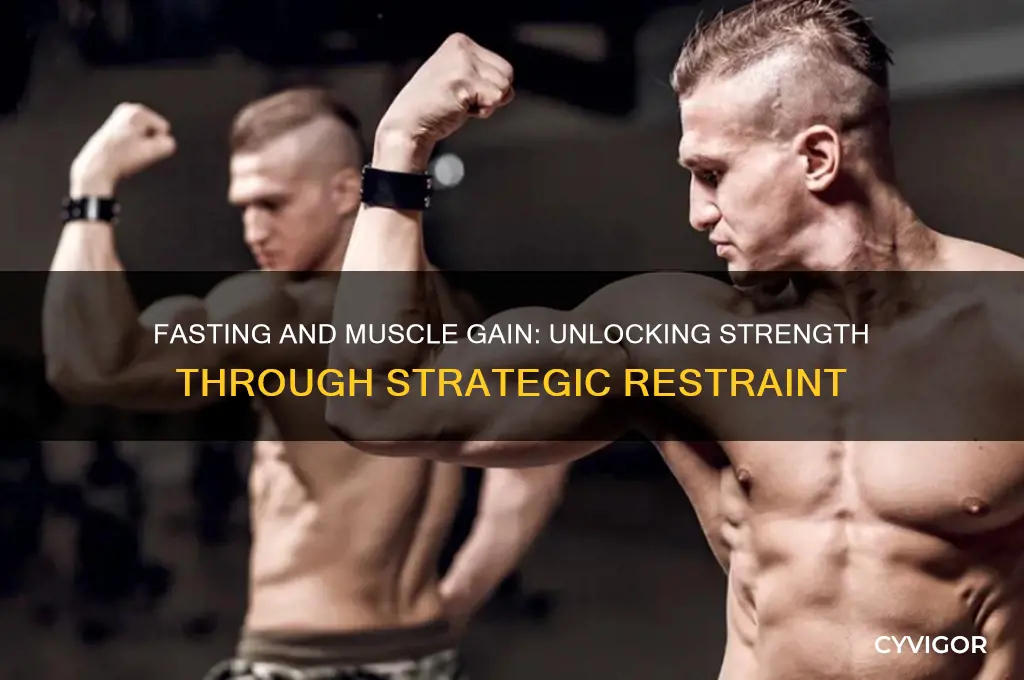 does fasting help gain muscle