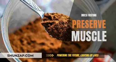 Fasting and Muscle Preservation: Fact or Fiction?
