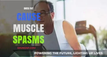 Fat and Muscle Spasms: Is There a Link?