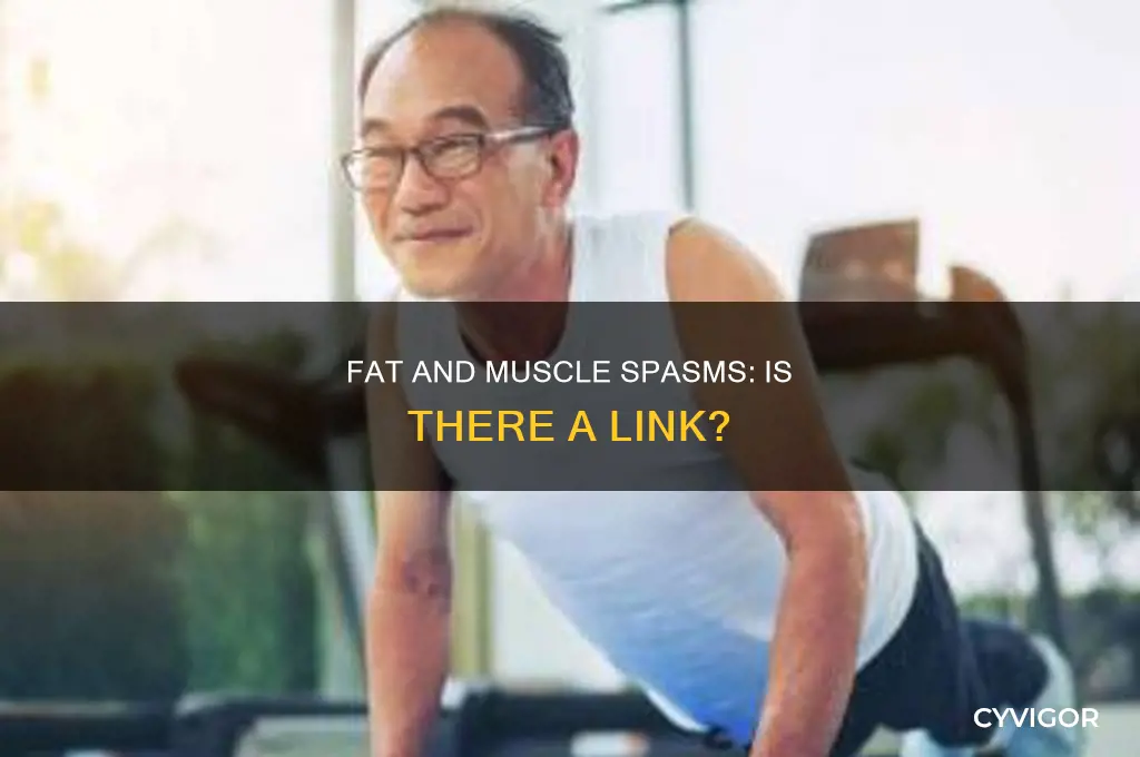 does fat cause muscle spasms
