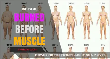 The Truth About Fat and Muscle: Which Burns First?
