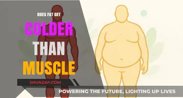 Exploring the Science: Does Body Fat Feel Colder Than Muscle?