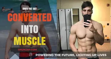 From Fat to Fit: The Truth About Muscle Conversion