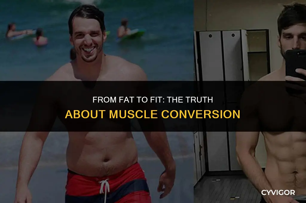 does fat get converted into muscle