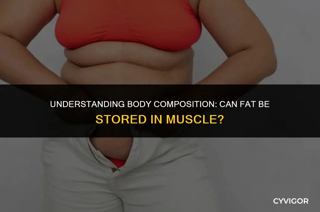 does fat get stored in muscle