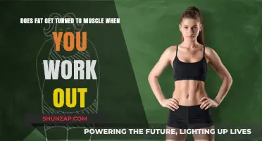 Can Fat Transform into Muscle Through Exercise? Debunking Fitness Myths
