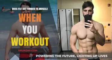 Transforming Fat to Muscle: The Science Behind Your Workout