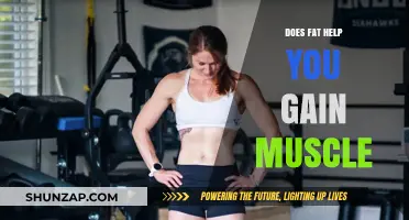 Does Fat Fuel Muscle Growth? Unlocking the Role of Fats in Building Muscle