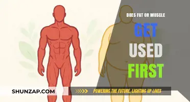 Fuel for Fitness: Understanding How Your Body Burns Fat and Muscle
