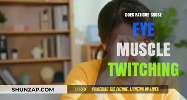 Fatigue and Eye Twitching: What's the Connection?